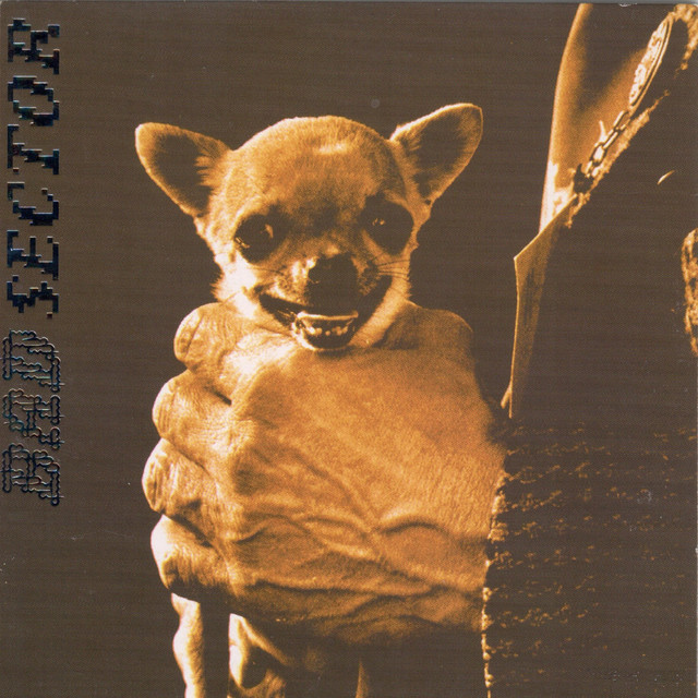 Ampos album cover