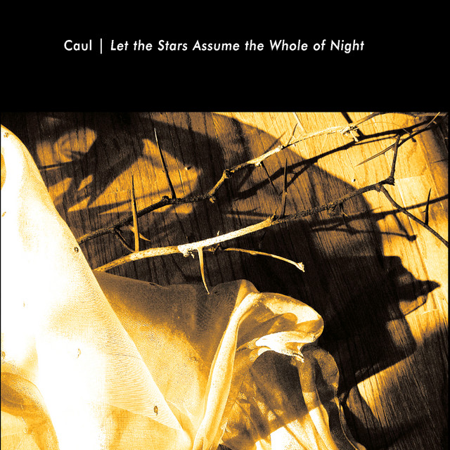 Let the Stars Assume the Whole of Night album cover