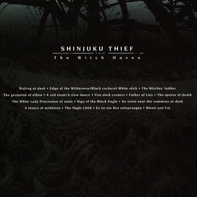 The Witch Haven album cover