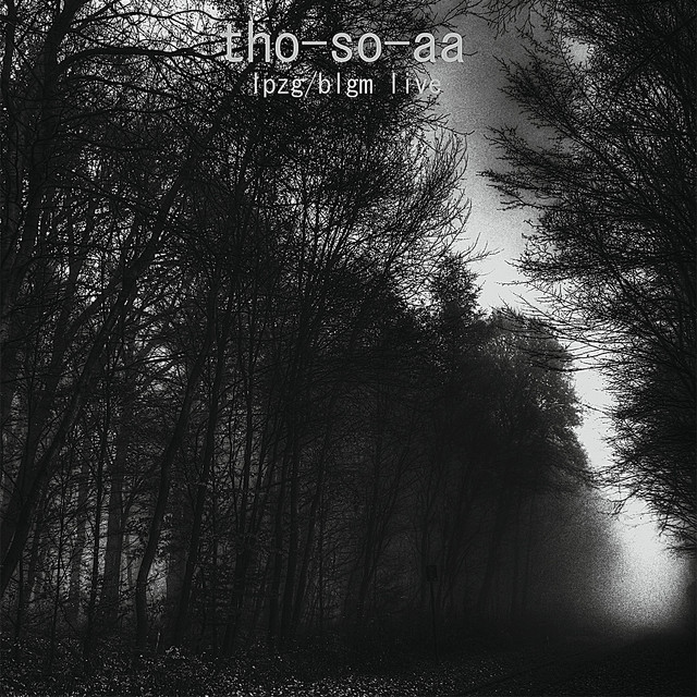 Lpzg/Blgm Live album cover