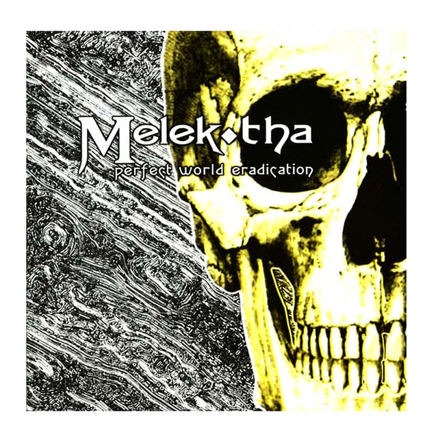 Perfect World Eradication album cover