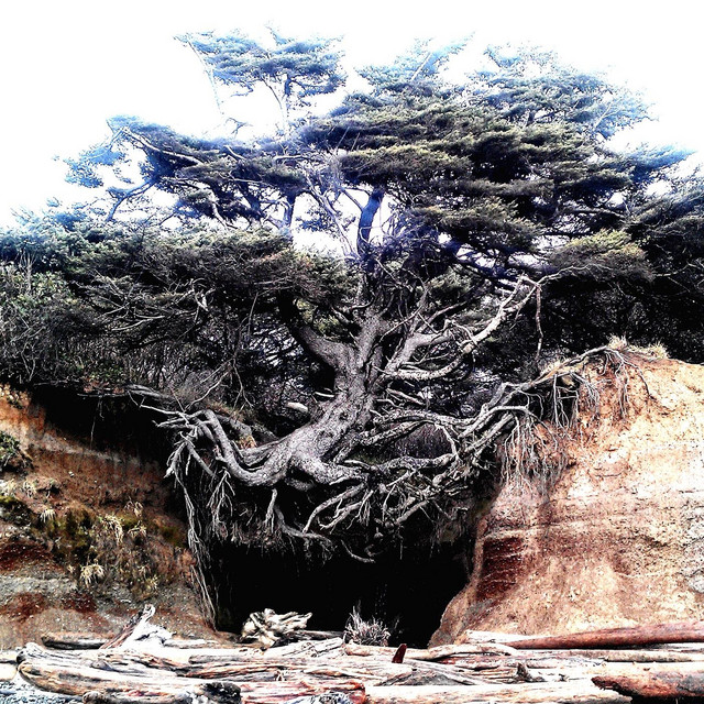 Eztica album cover