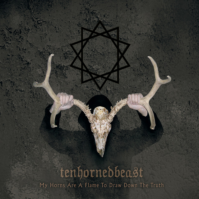 My Horns Are A Flame To Draw Down The Truth album cover