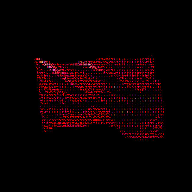 WAVE THE BULL album cover