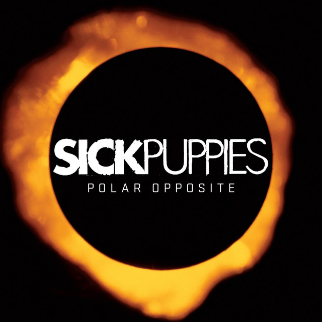 Polar Opposite album cover