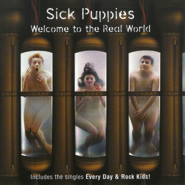 Welcome To The Real World album cover