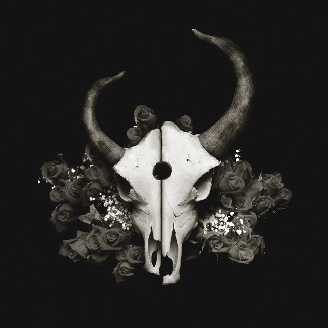 Summer of Darkness album cover