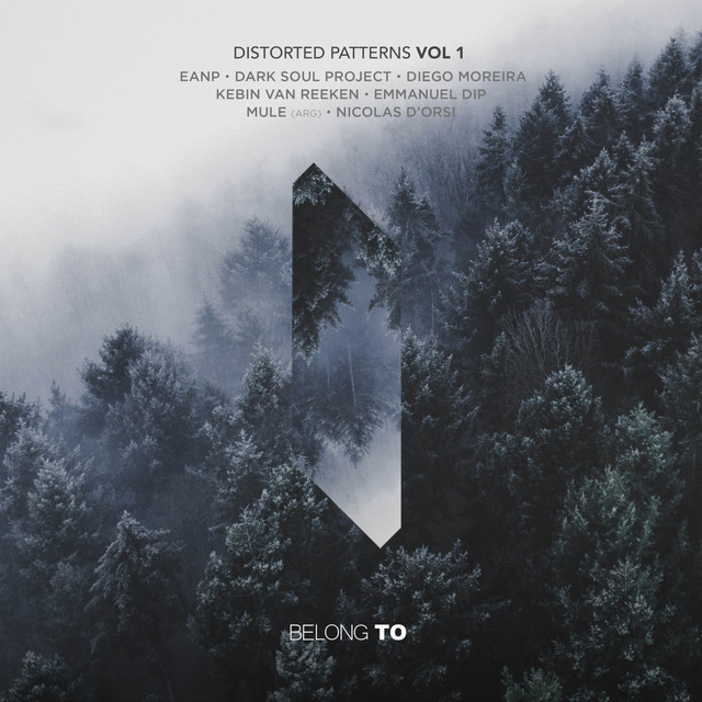 Distorted Patterns, Vol. 1 album cover