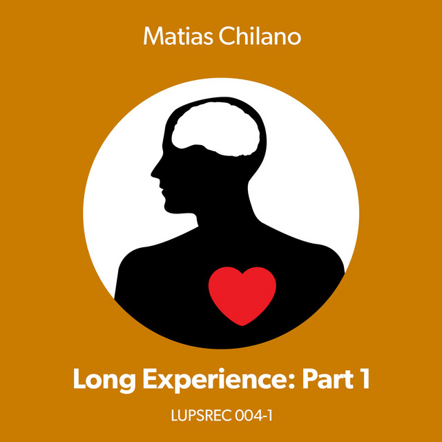 Long Experience Minor Paranoia In Flight part 1 album cover