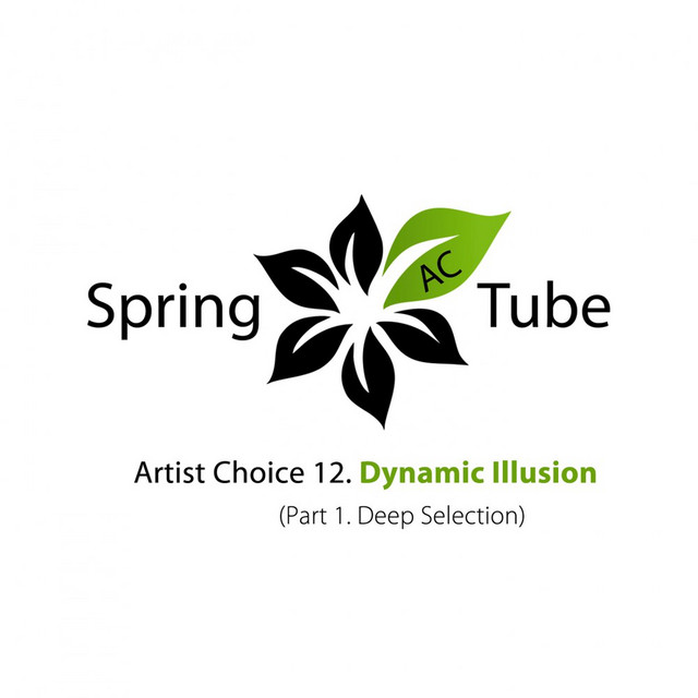 Artist Choice 012. Dynamic Illusion, Pt. 1 (Deep Selection) album cover