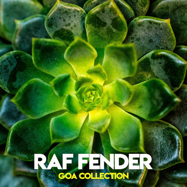 Goa Collection album cover