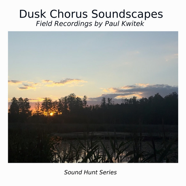 Dusk Chorus Soundscapes album cover