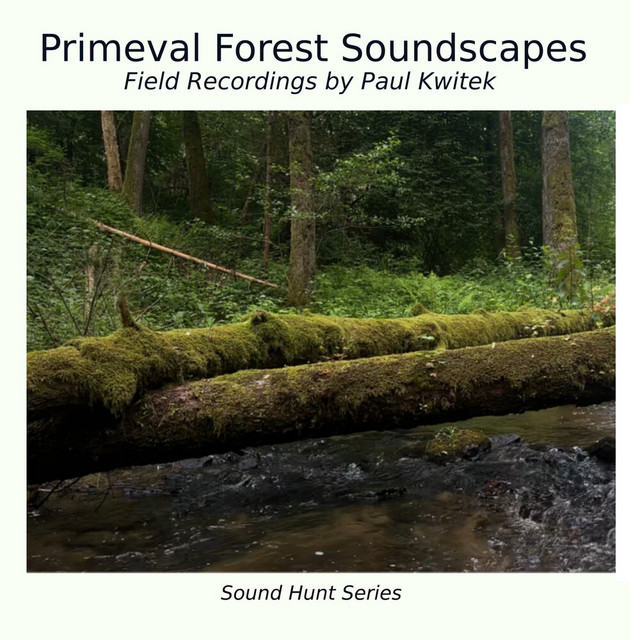 Primeval Forest Soundscapes album cover