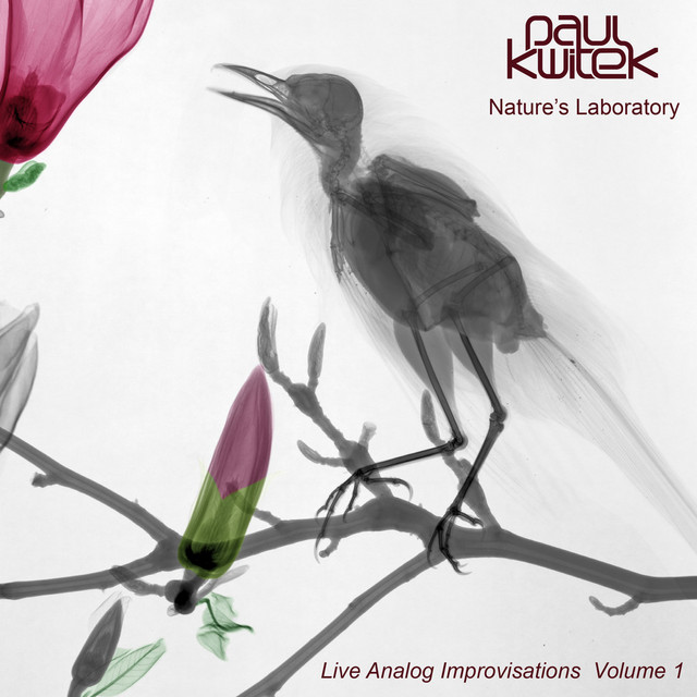 Nature's Laboratory (Volume 1) album cover