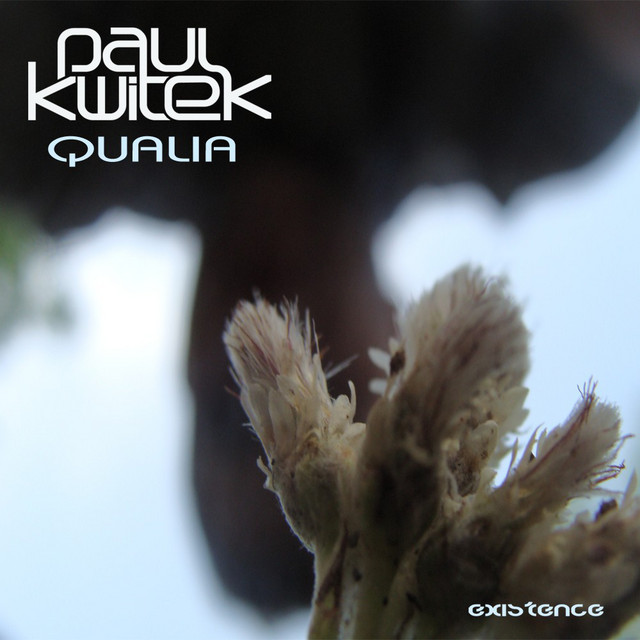 Qualia album cover