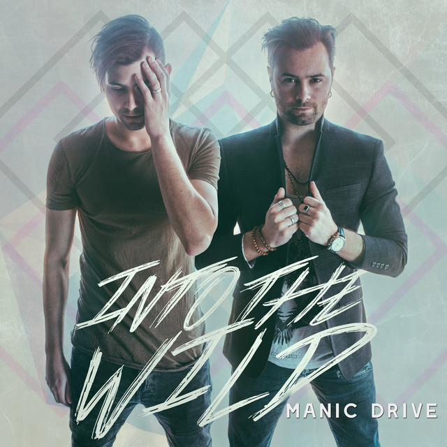 Into the Wild album cover