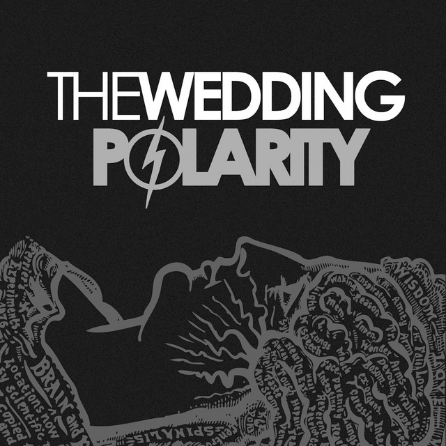 Polarity album cover