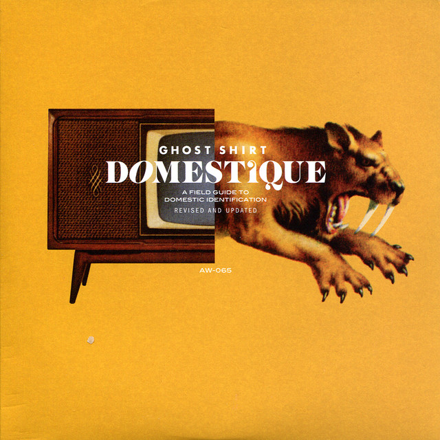 Domestique album cover