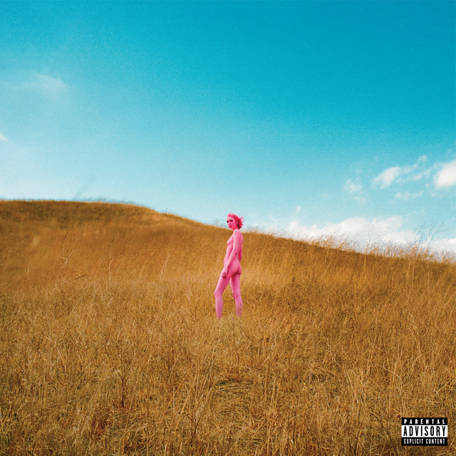 Further Joy album cover