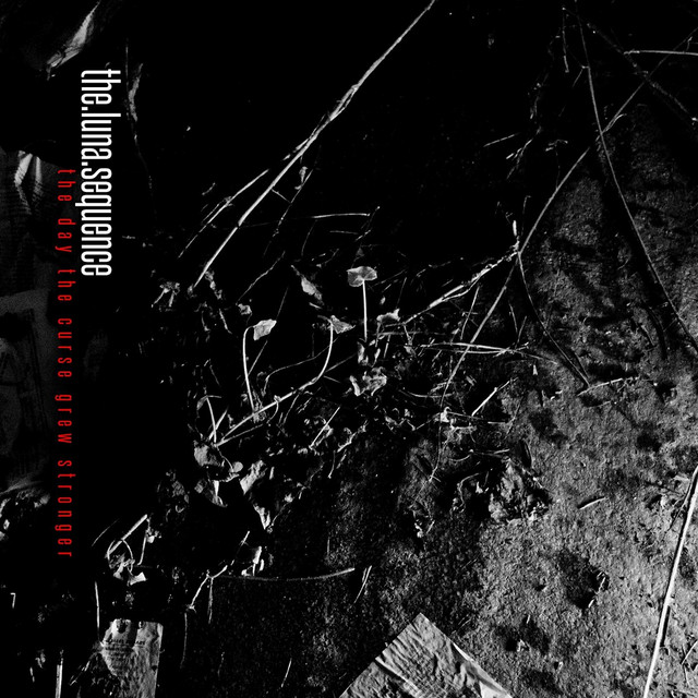The Day the Curse Grew Stronger album cover