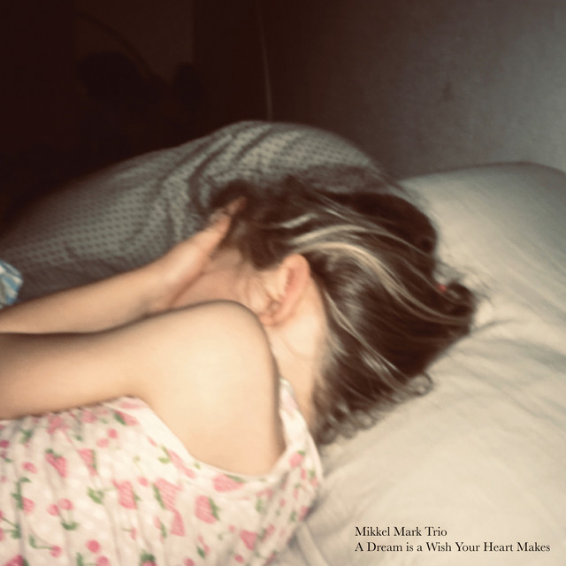 A Dream is a Wish Your Heart Makes (Live) album cover