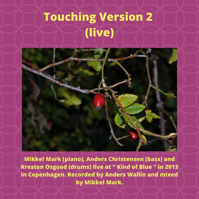 Touching Version 2 (Live) album cover