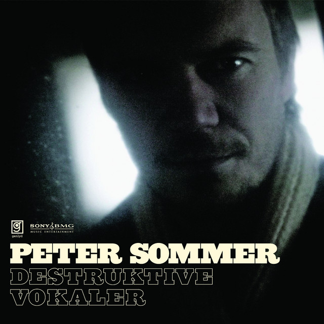 Destruktive Vokaler album cover