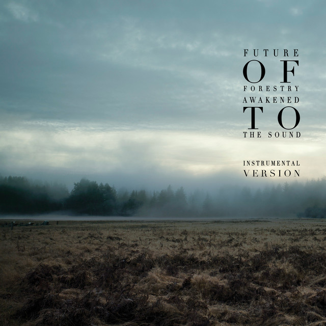 Awakened to the Sound (Instrumental Version) album cover