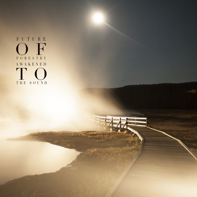 Awakened to the Sound album cover