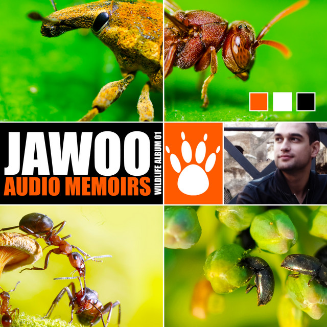 Audio Memoirs album cover