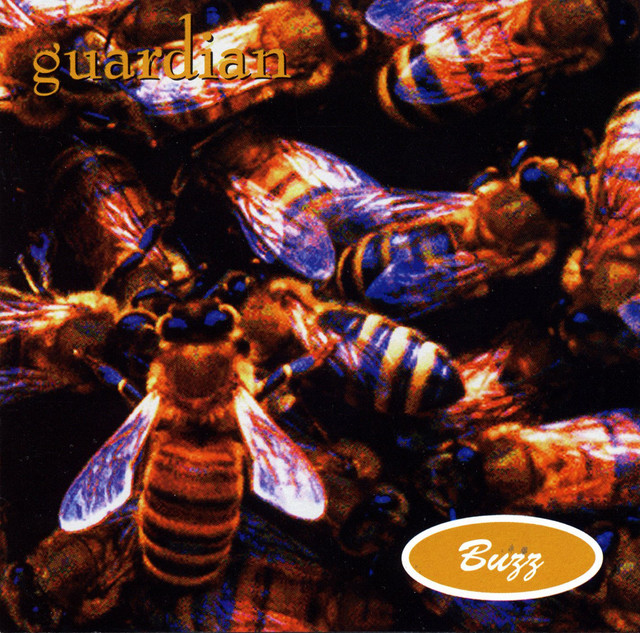 Buzz album cover
