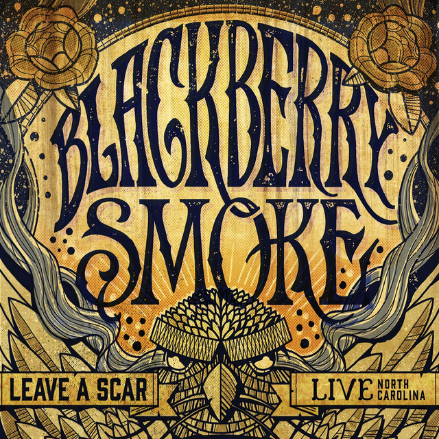 Leave a Scar: Live in North Carolina album cover