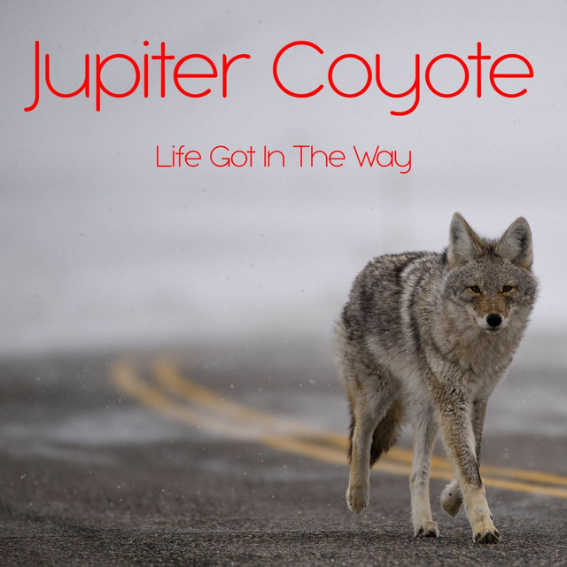 Life Got in the Way album cover