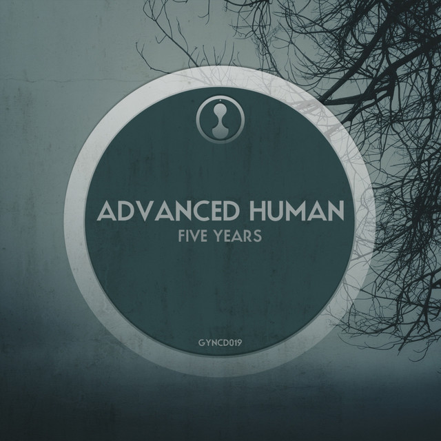 Five Years album cover