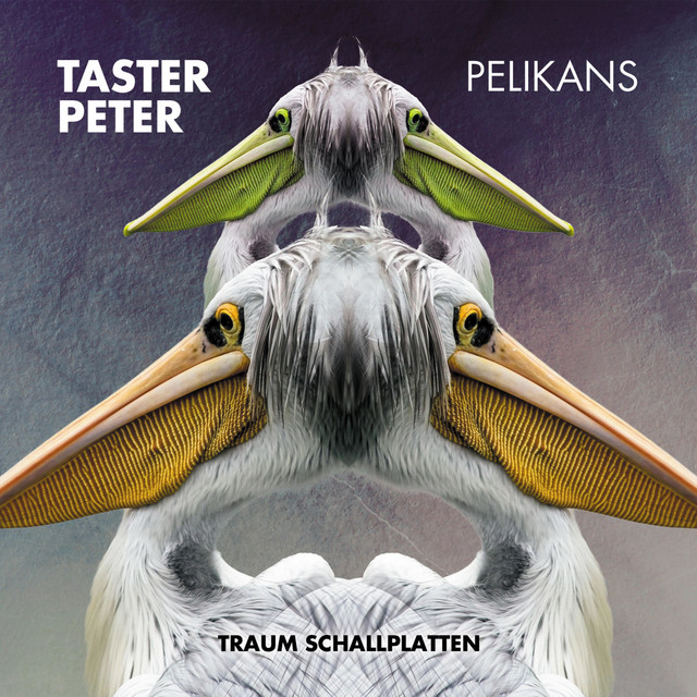 Pelikans album cover