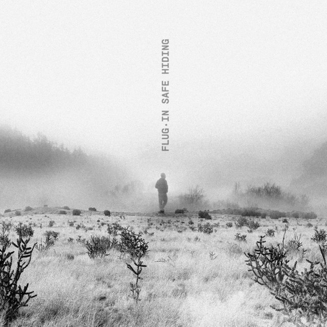 In Safe Hiding album cover