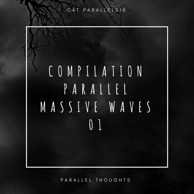Compilation Parallel Massive Waves 01 album cover