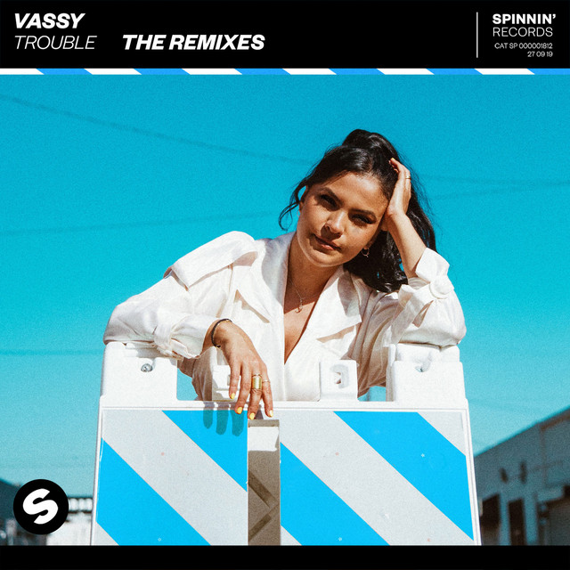 Trouble Remixes album cover