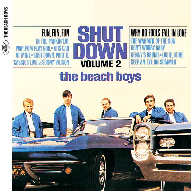 Shut Down, Vol. 2 (Mono & Stereo) album cover