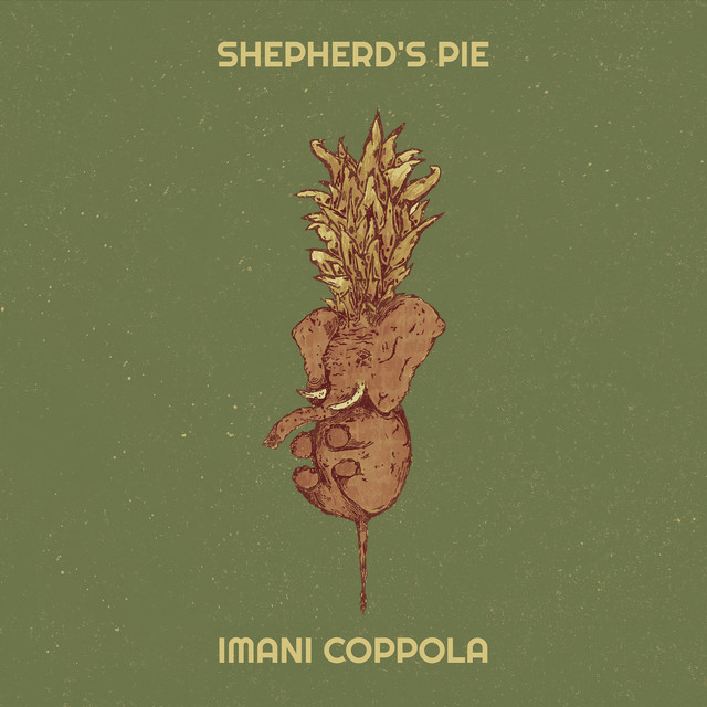 Shepherd's Pie album cover