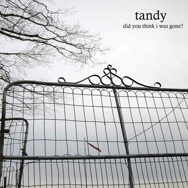 Did You Think I Was Gone? album cover