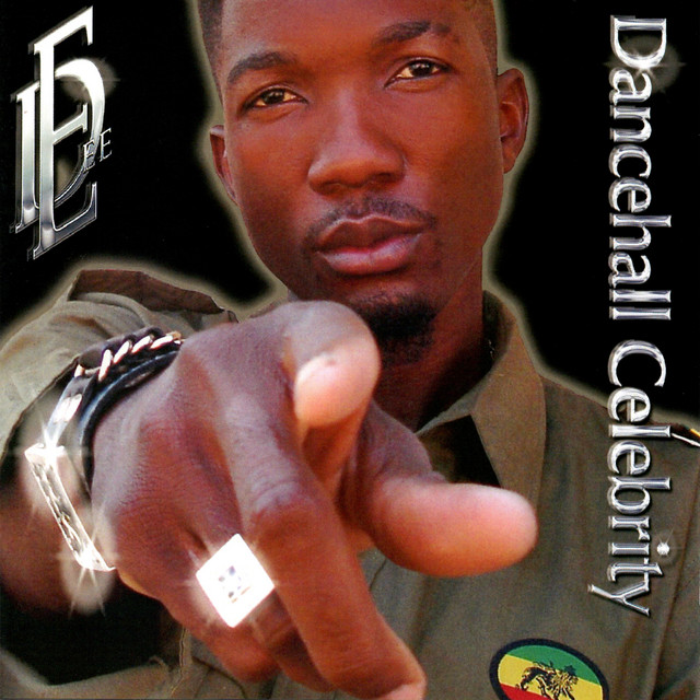 Dancehall Celebrity album cover