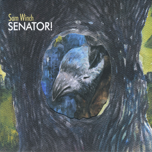 Senator! album cover