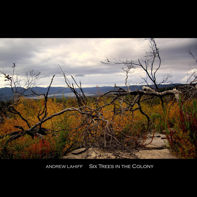 Six Trees in the Colony album cover