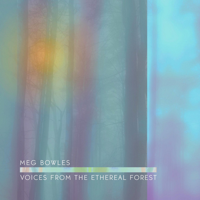 Voices from the Ethereal Forest album cover
