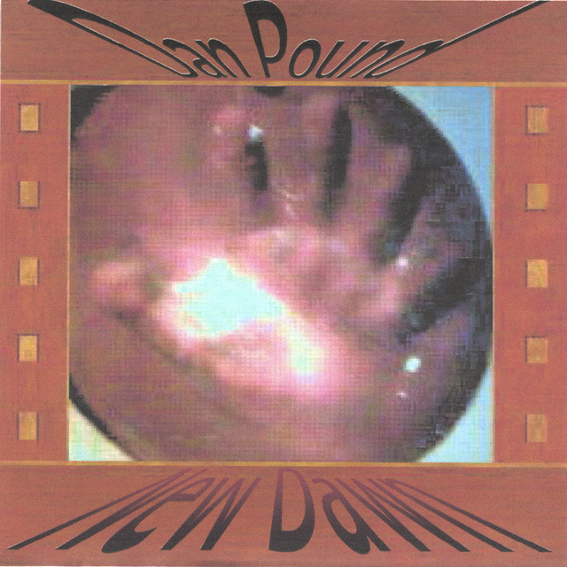 New Dawn album cover