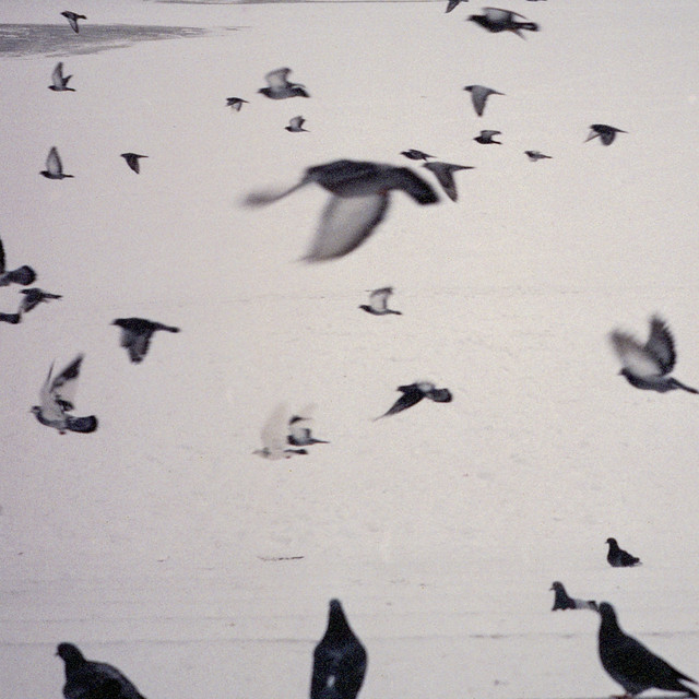 False Awakening album cover