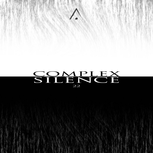 Complex Silence 22 album cover