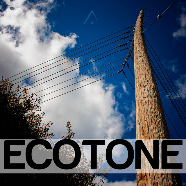 Ecotone album cover