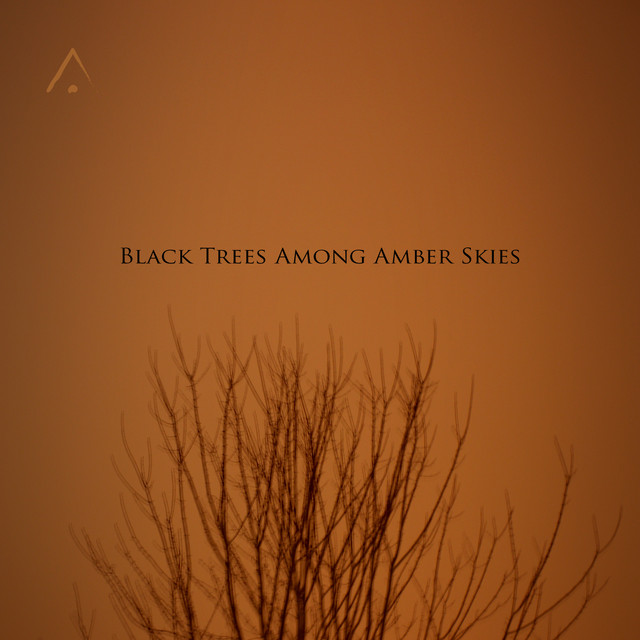 Black Trees Among Amber Skies album cover